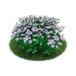 花模型  植物模型