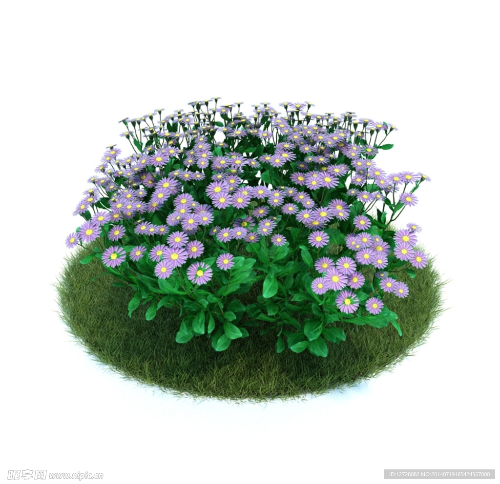 花模型  植物模型