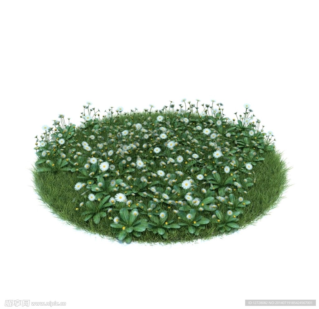 花模型  植物模型