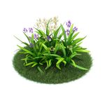 花模型  植物模型
