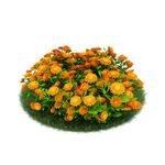 花模型  植物模型