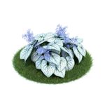 花模型  植物模型