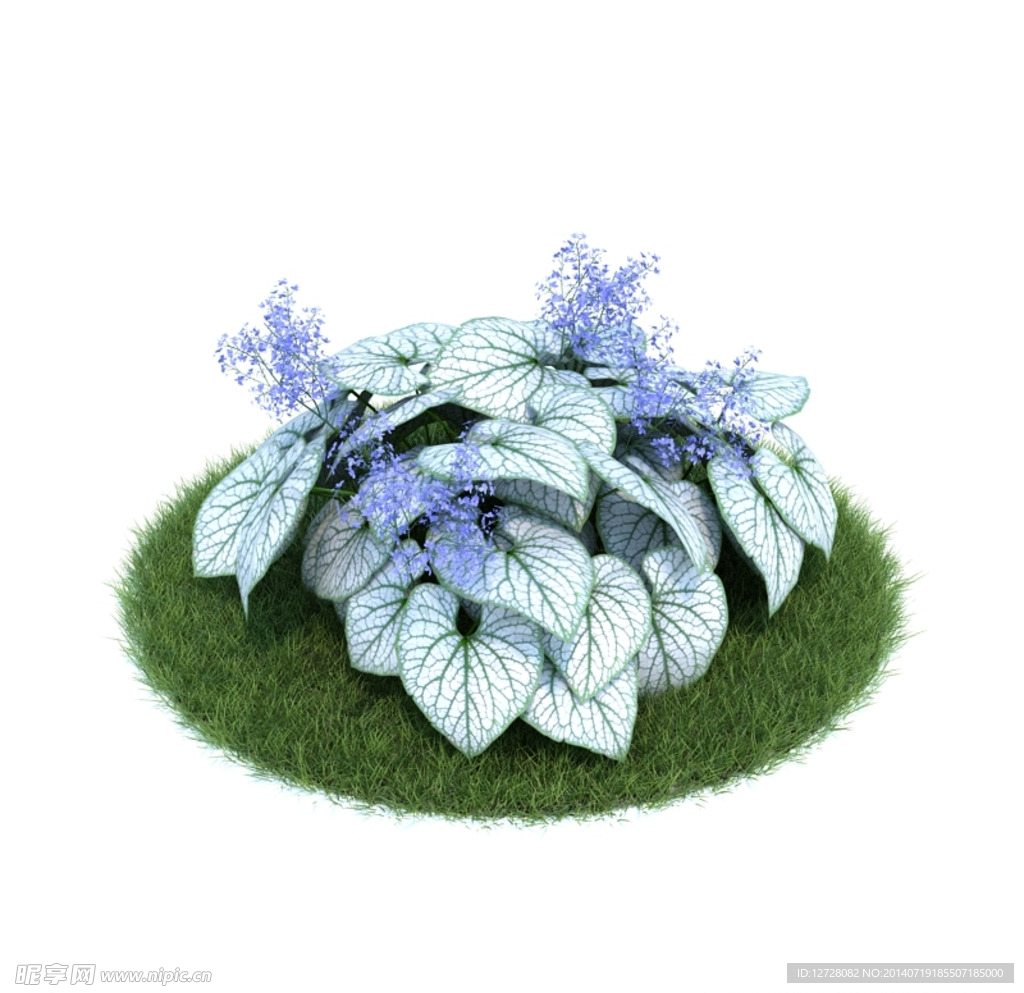 花模型  植物模型
