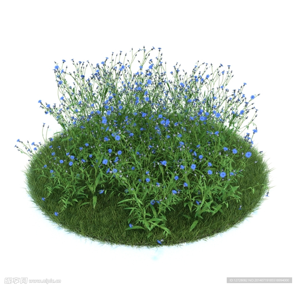 花模型  植物模型