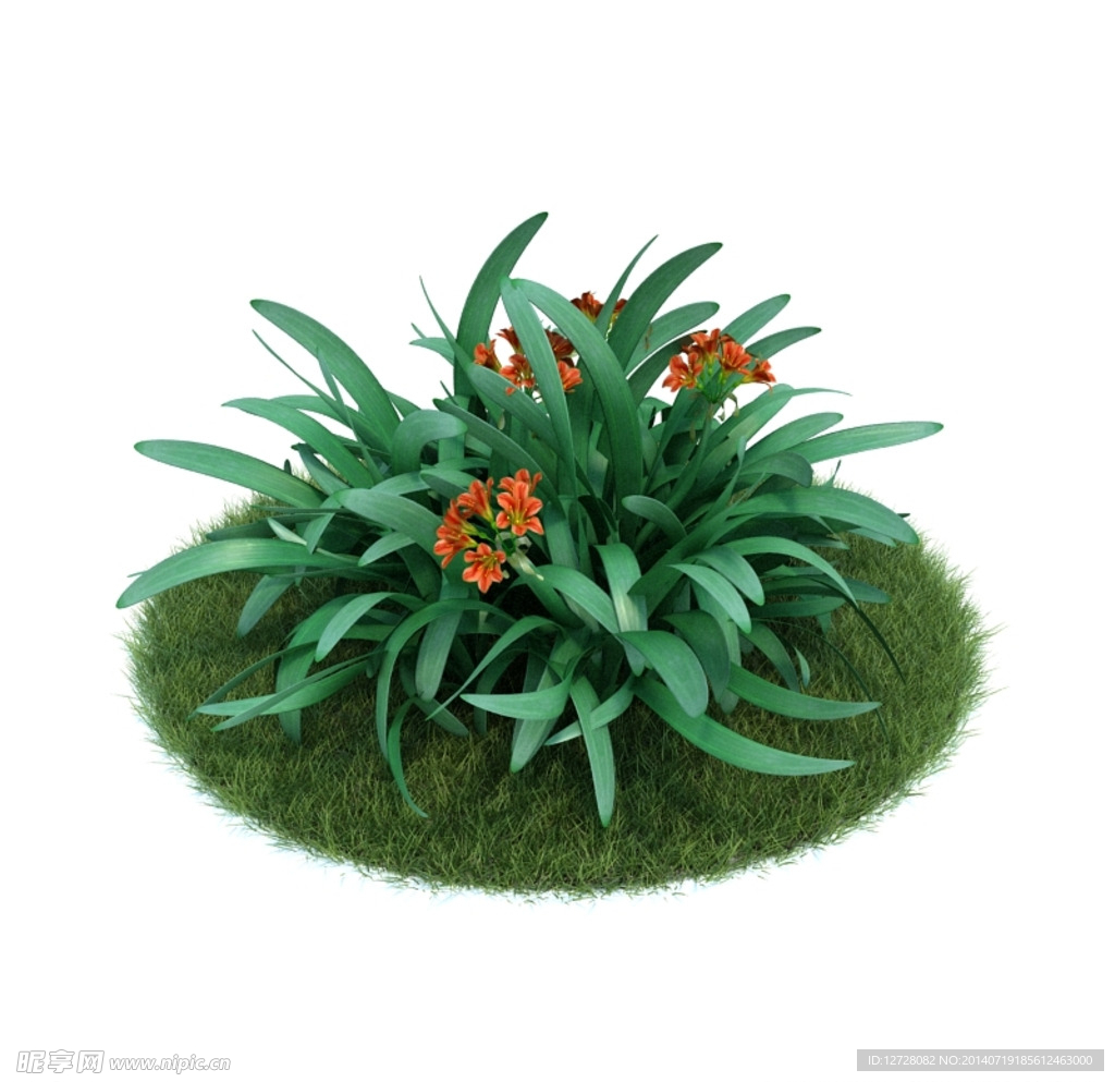 花模型  植物模型