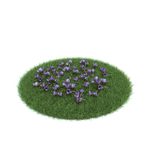 花模型  植物模型