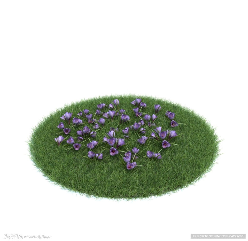 花模型  植物模型
