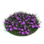 花模型  植物模型