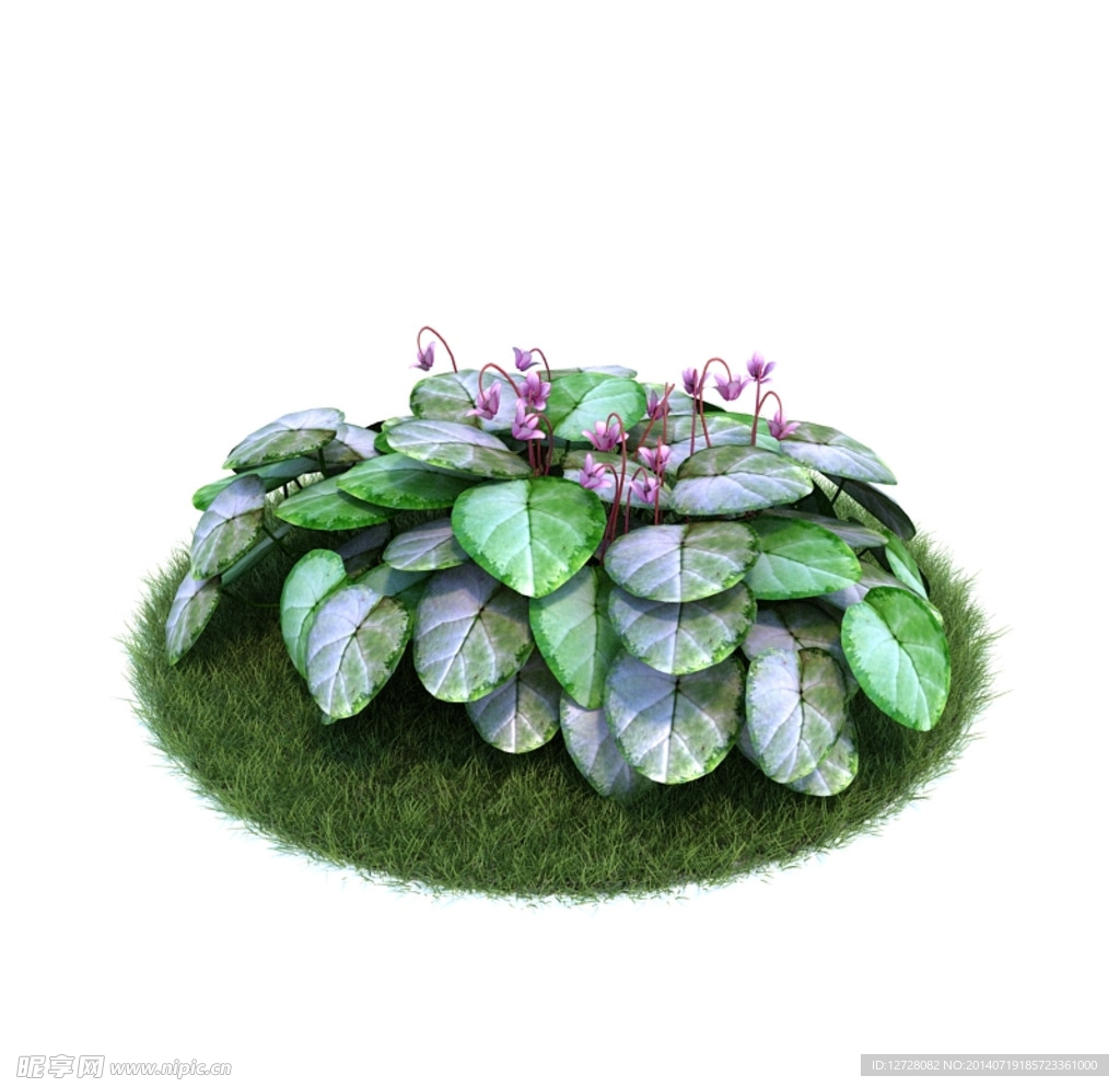 花模型  植物模型