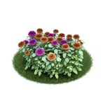 花模型     植物模型