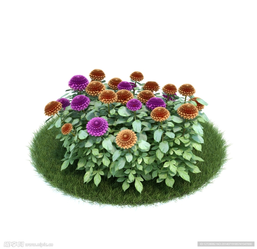 花模型     植物模型