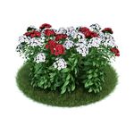 花模型     植物模型