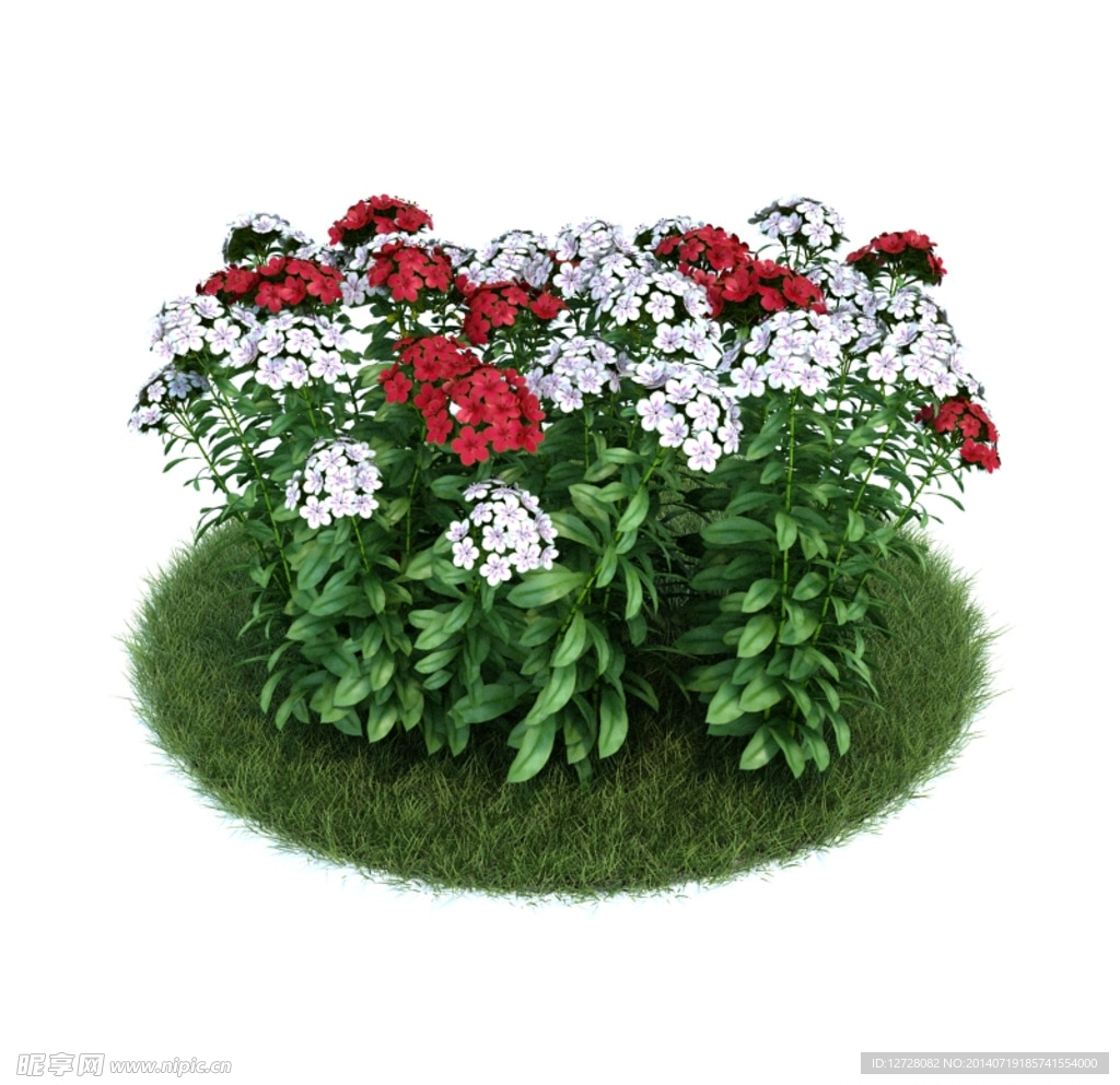 花模型     植物模型