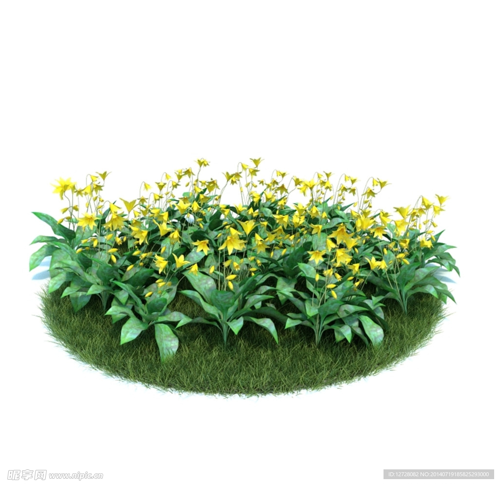 花模型     植物模型