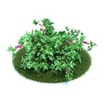 花模型     植物模型