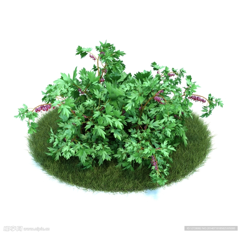 花模型     植物模型