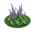 花模型     植物模型