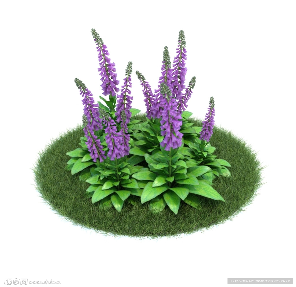 花模型     植物模型