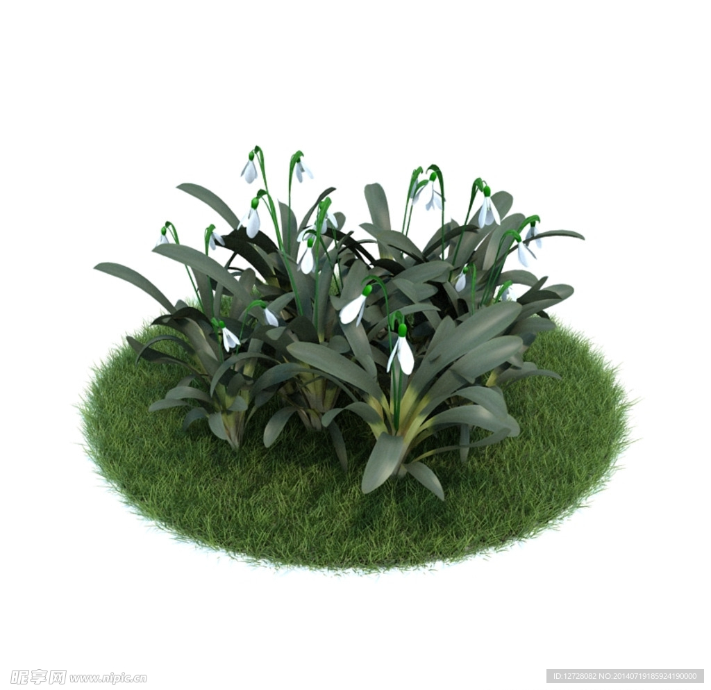 花模型     植物模型