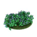 花模型  植物模型