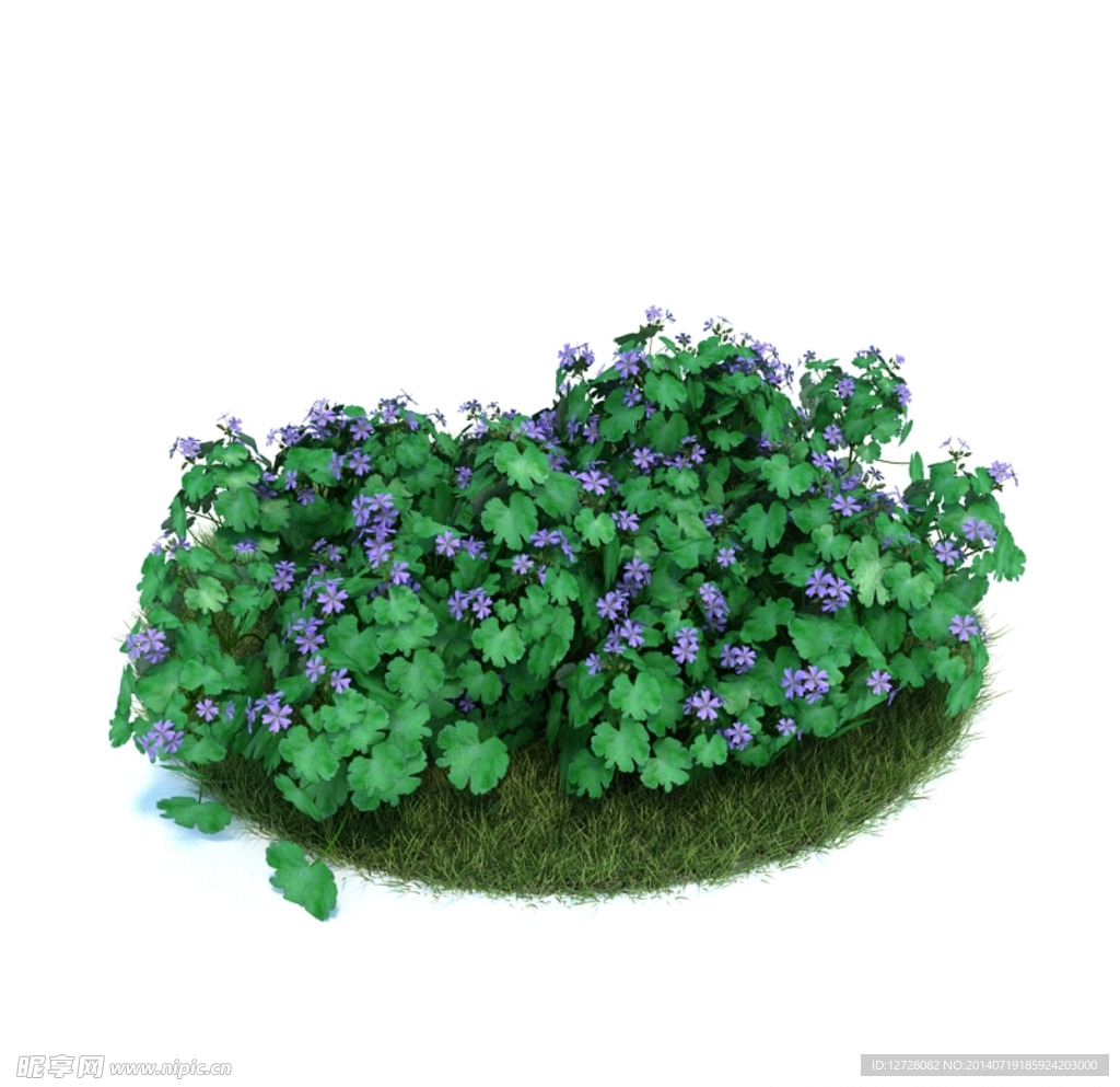 花模型  植物模型