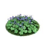 花模型  植物模型