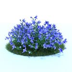 花模型     植物模型