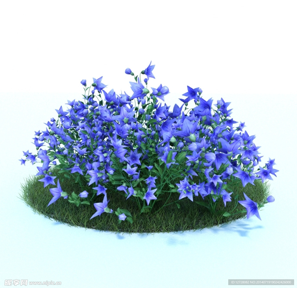 花模型     植物模型