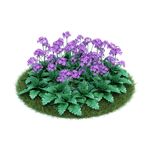 花模型     植物模型