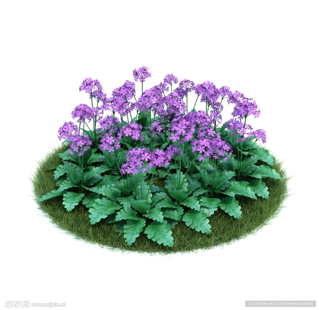 花模型     植物模型