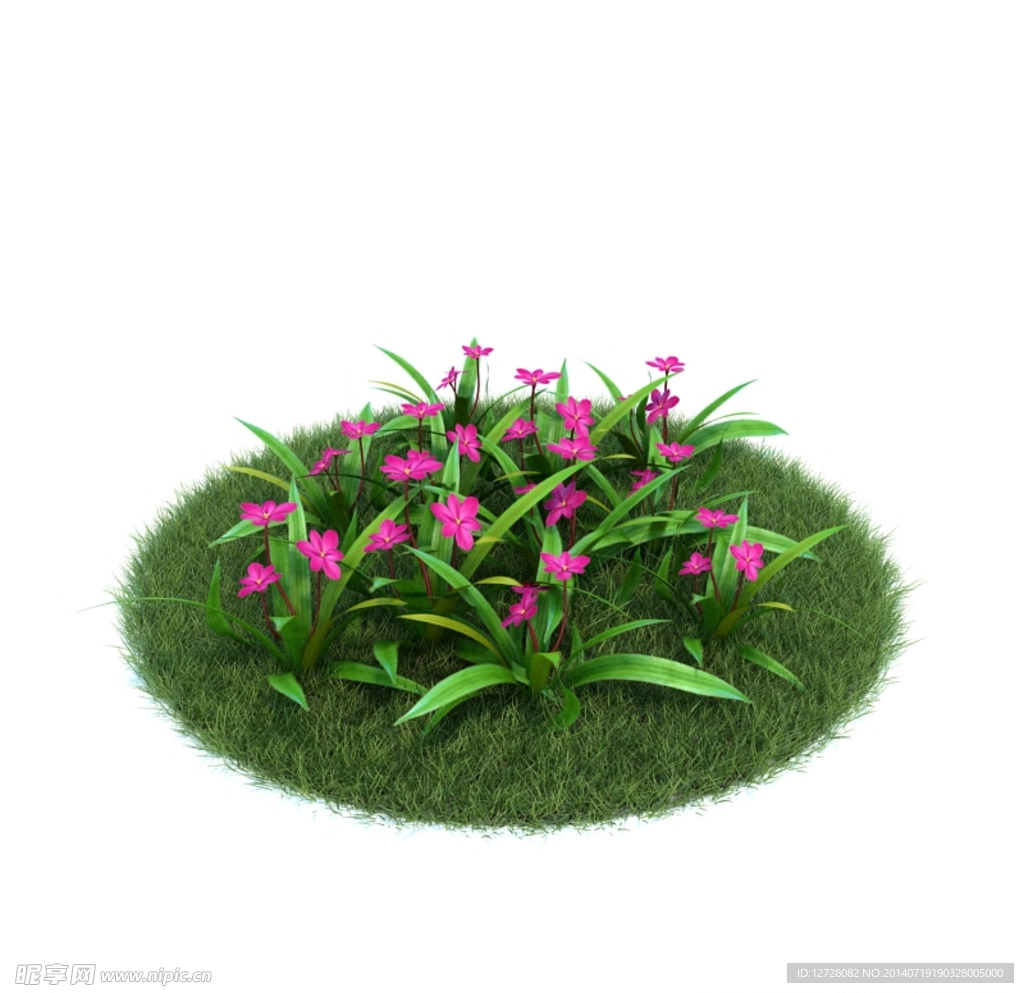 花模型     植物模型