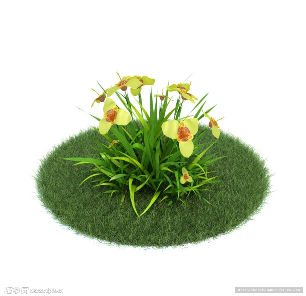 花模型  植物模型