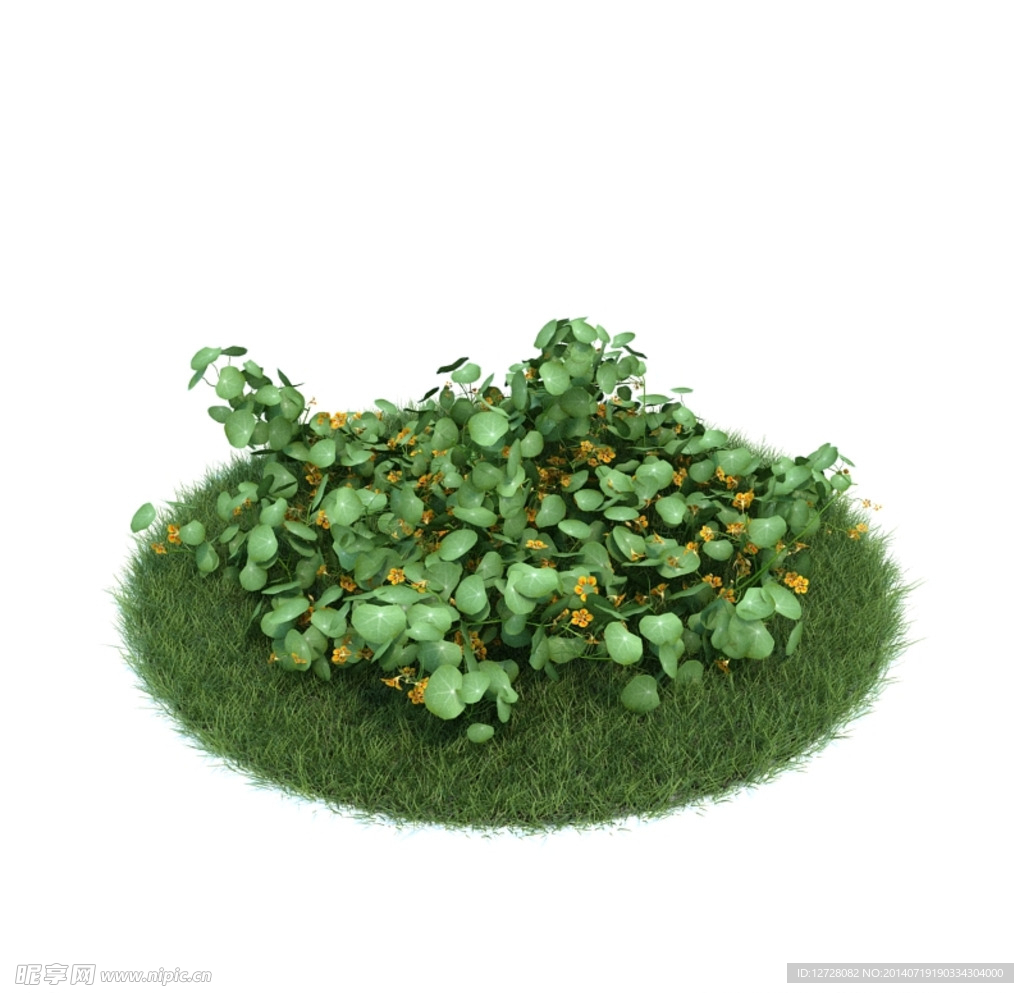 花模型  植物模型