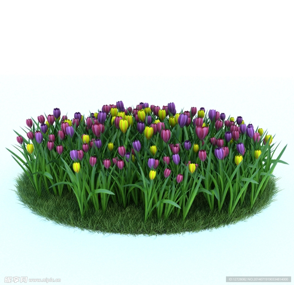 花模型  植物模型