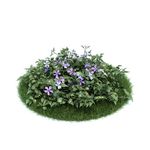 花模型  植物模型