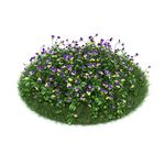 花模型  植物模型