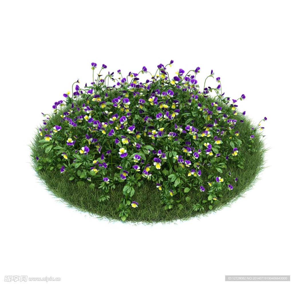 花模型  植物模型