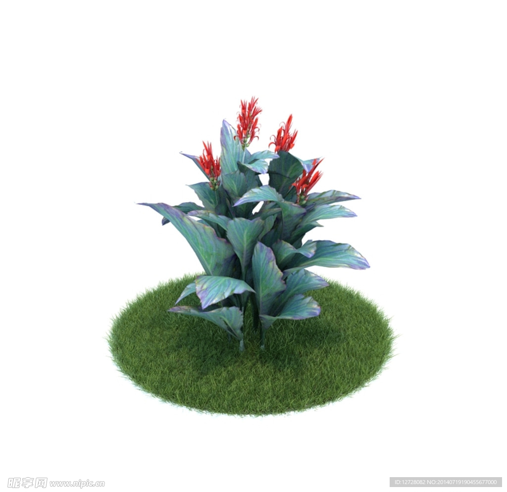 花模型  植物模型