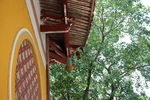 南山广化寺