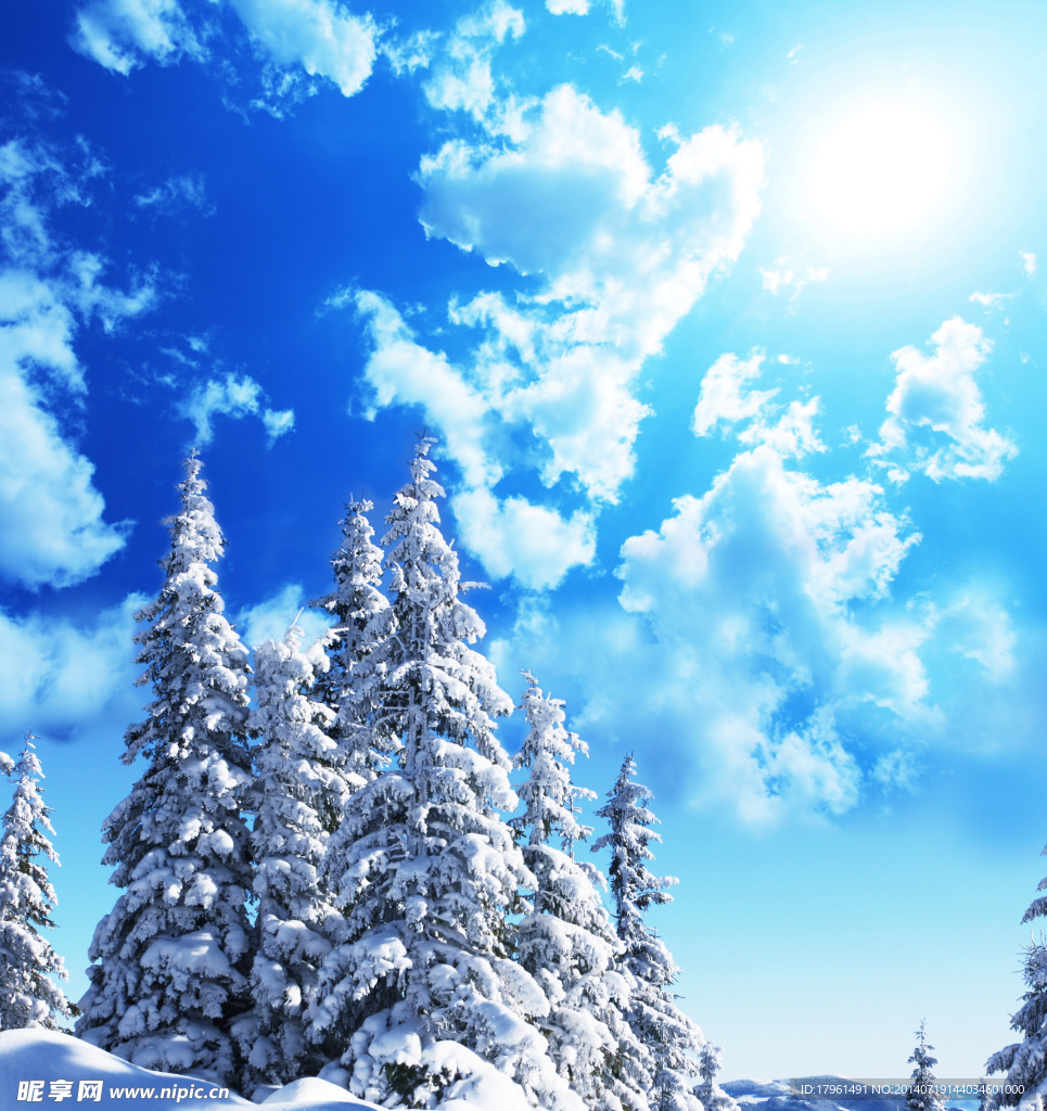 清新雪景