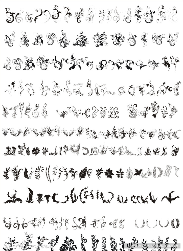 枝叶花纹