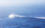 大海