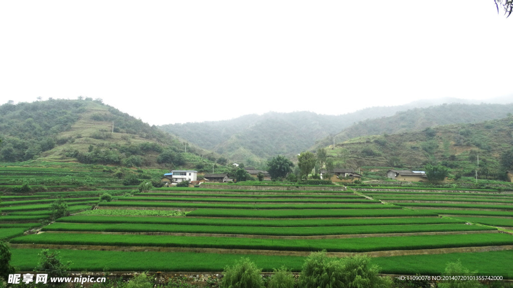 农田风景