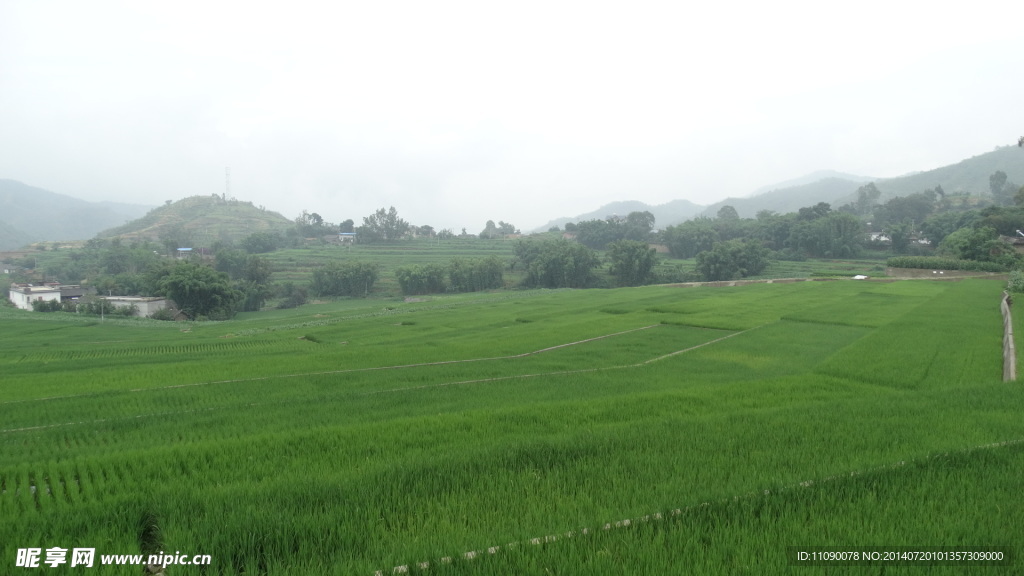 田野风景
