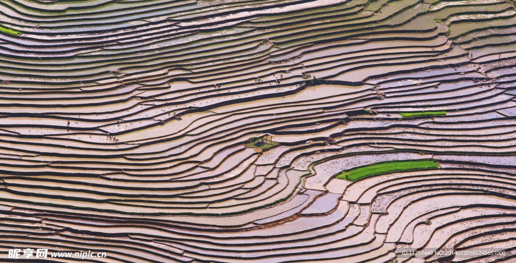 麻栗河梯田