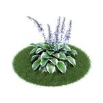 花模型  植物模型