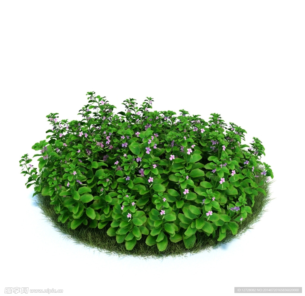 花模型  植物模型