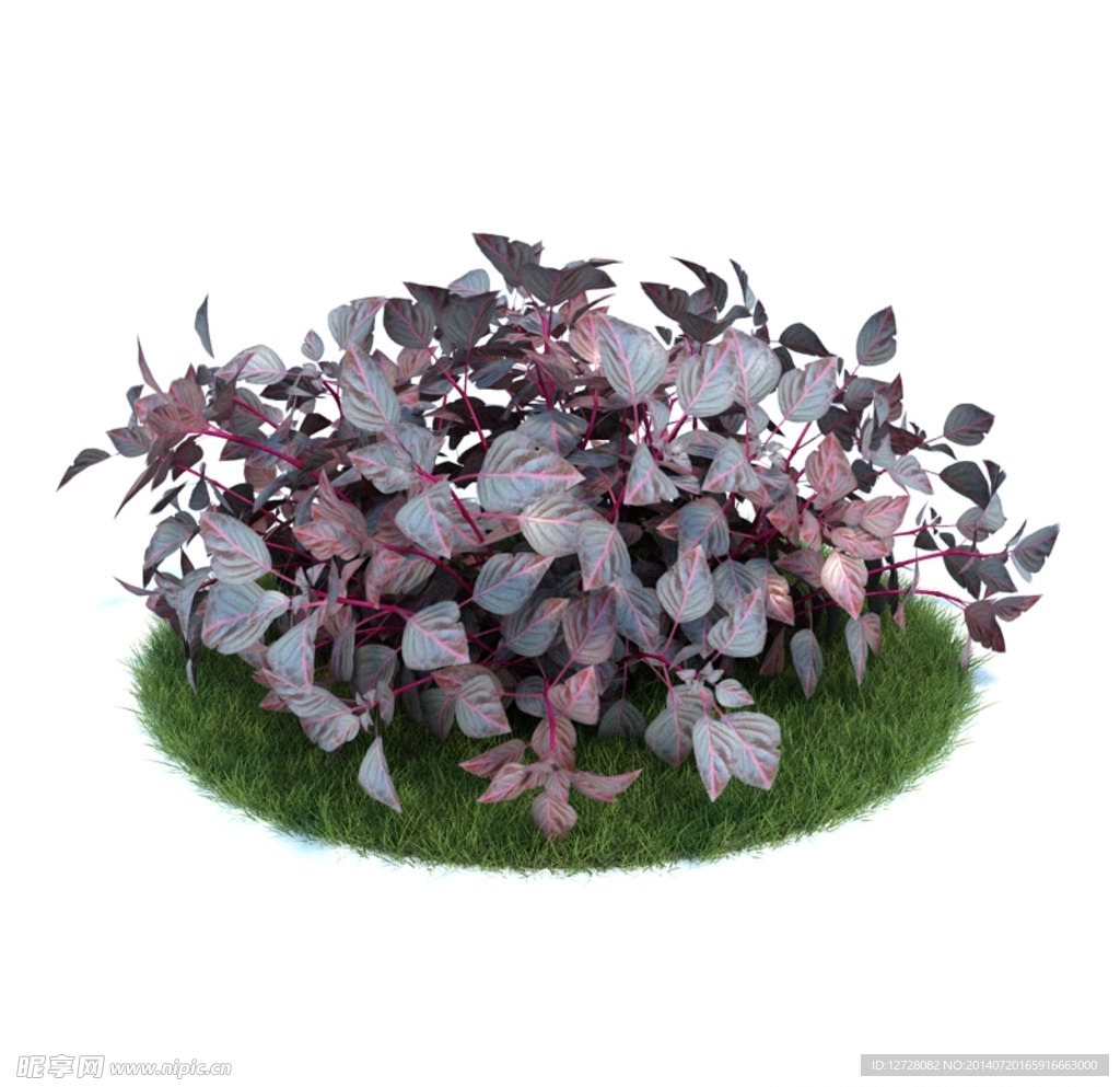 花模型  植物模型