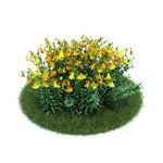 花模型  植物模型
