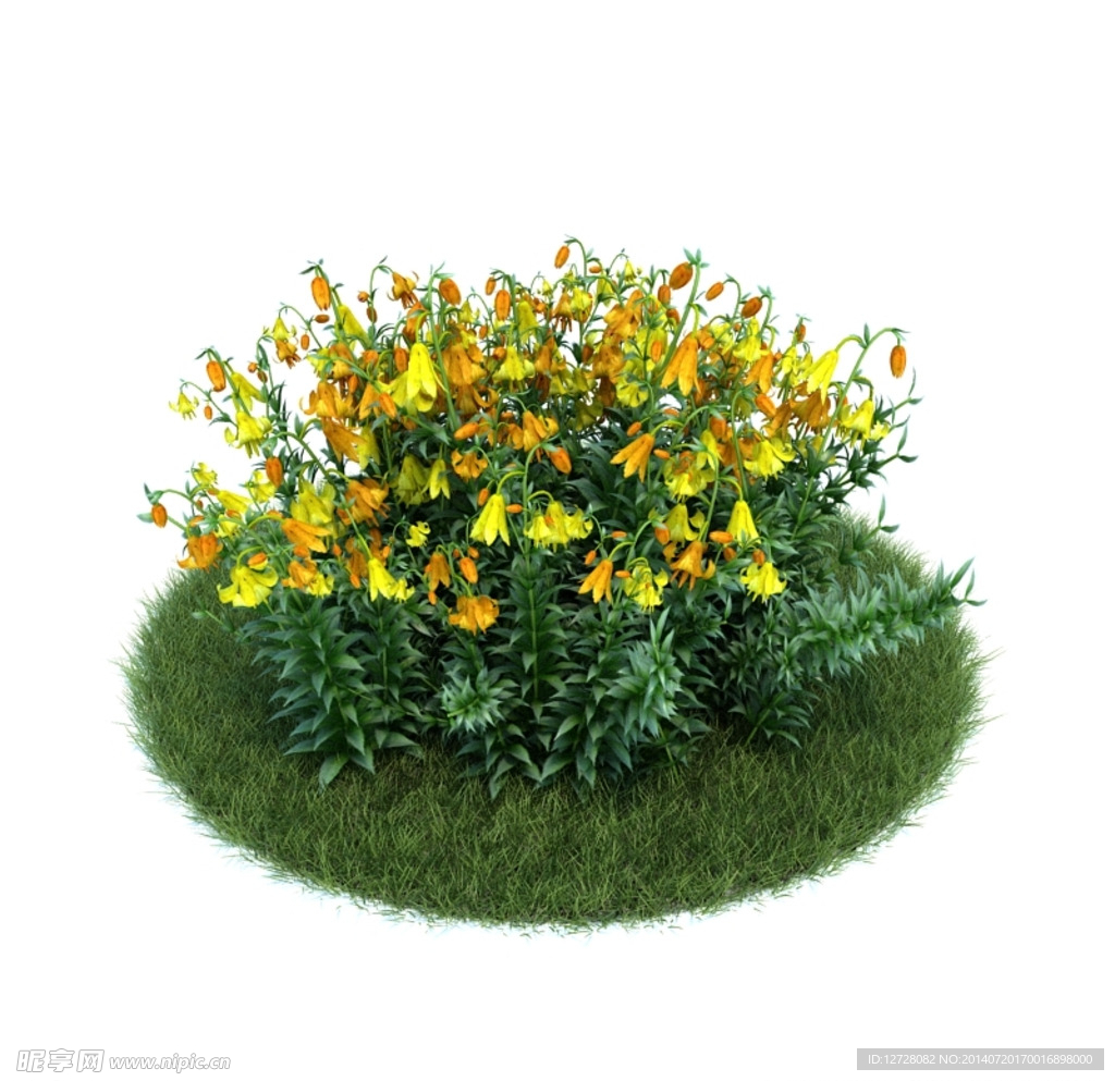 花模型  植物模型
